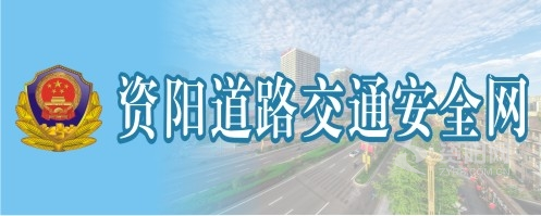 艹逼小网站资阳道路交通安全网